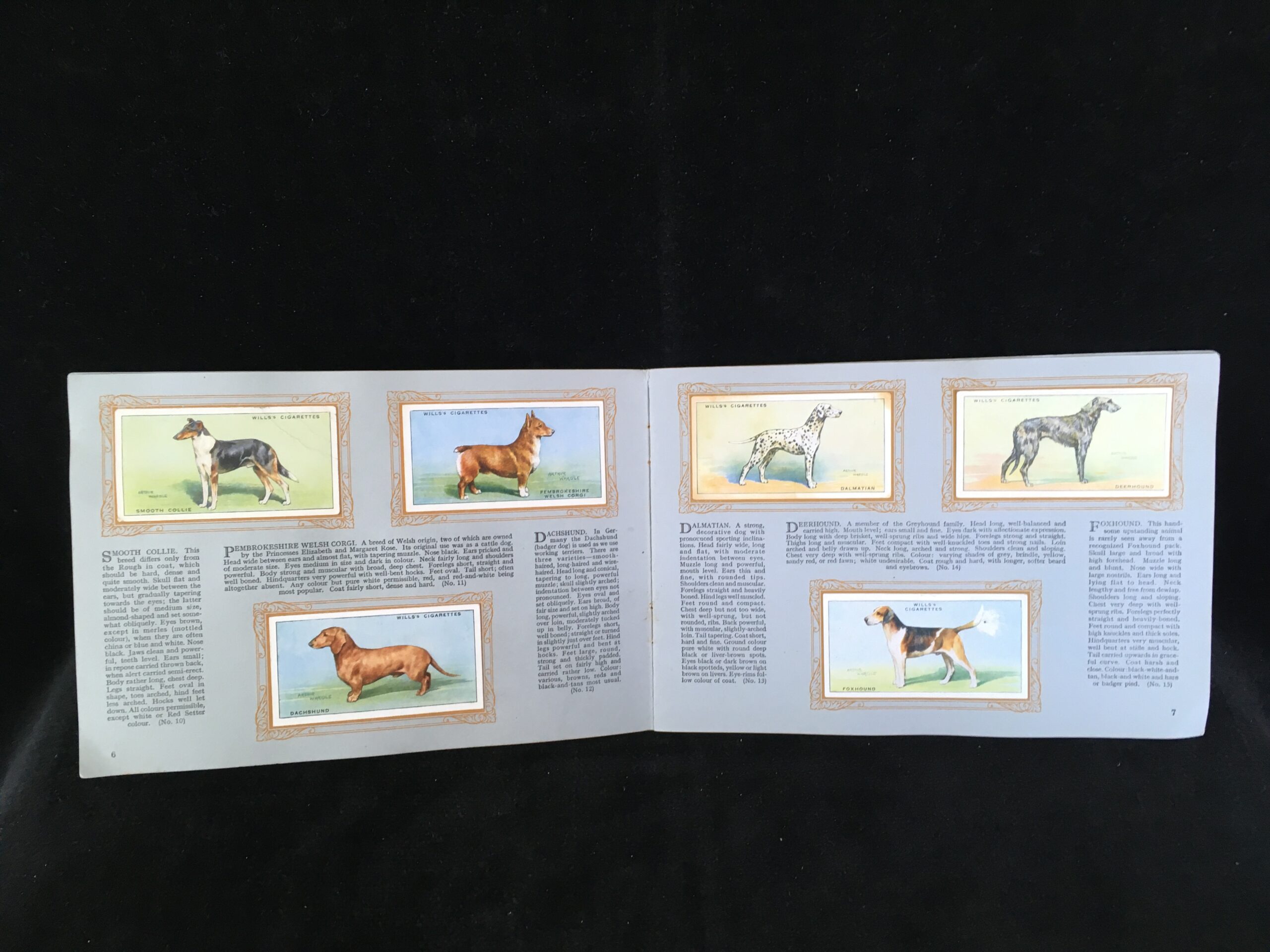 Dogs - 1937 - Cigarette cards | Trade cards | Coins | Stamps