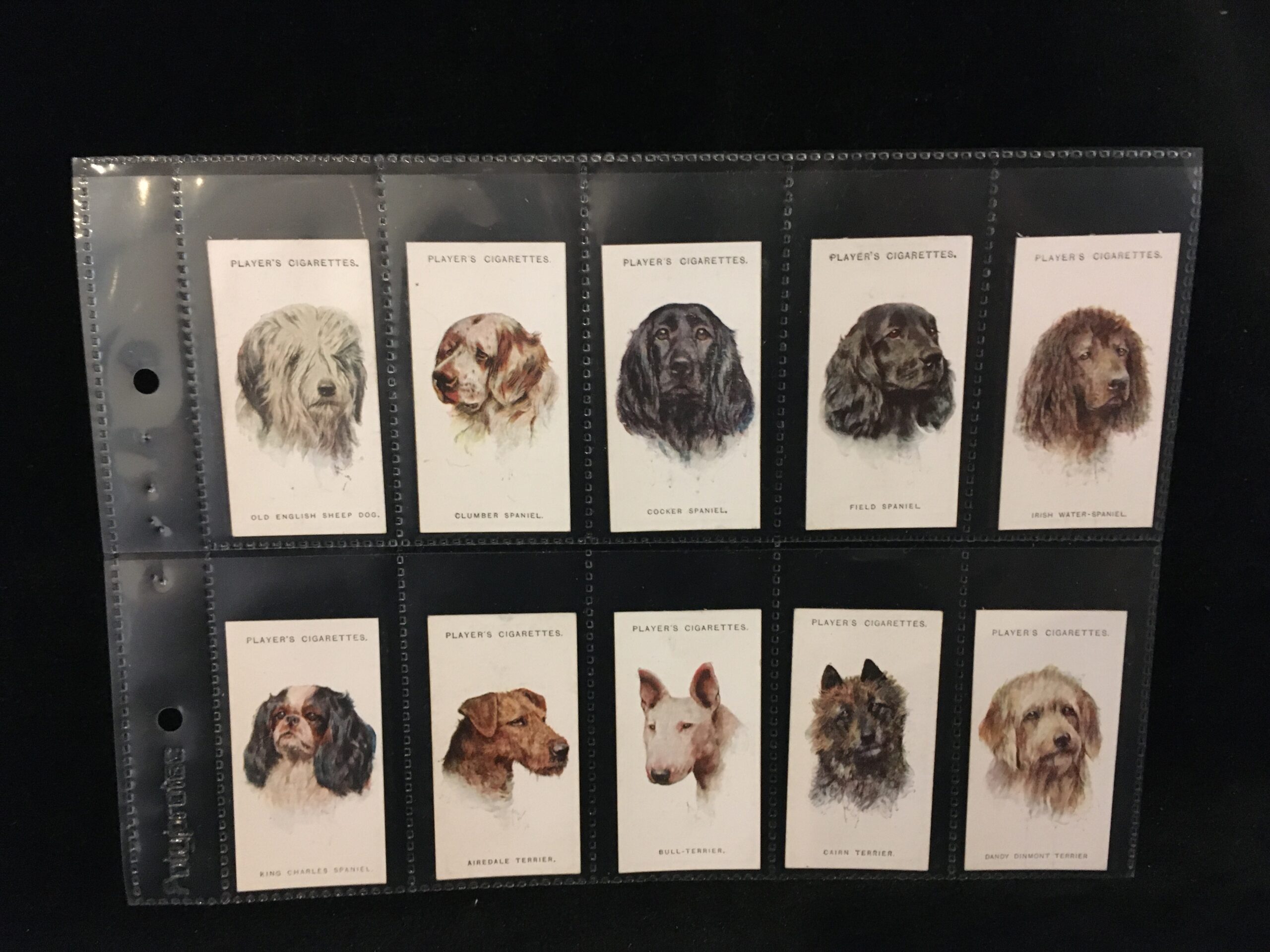 Dogs (1929) - Cigarette cards | Trade cards | Coins | Stamps