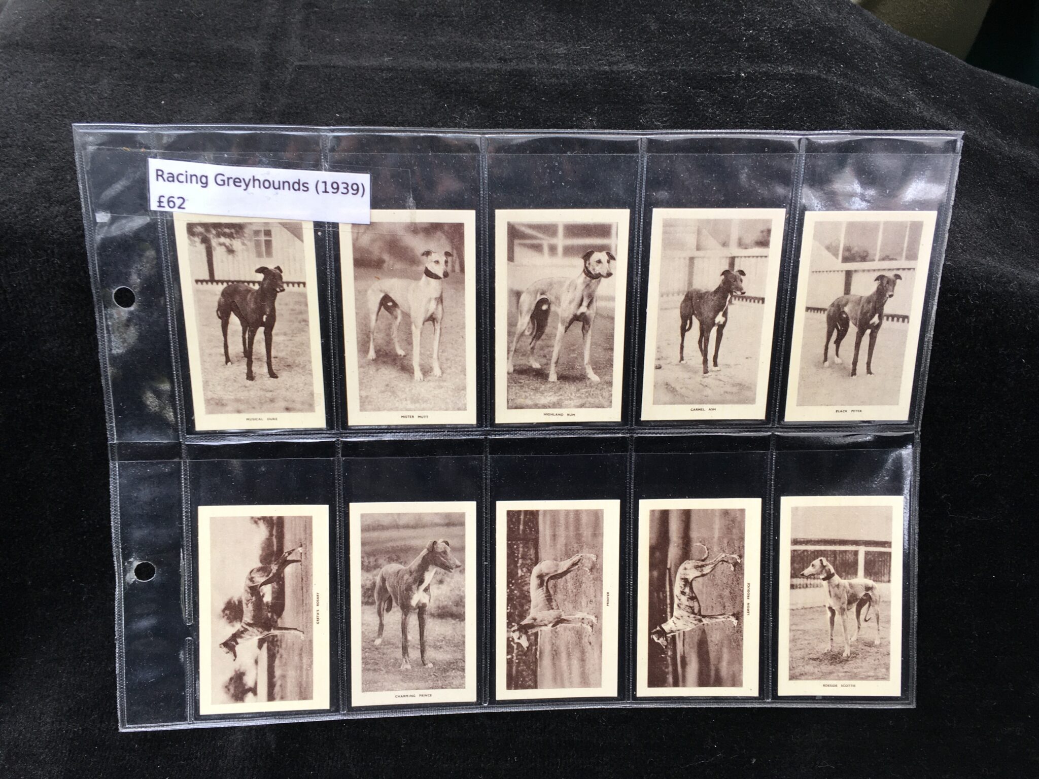 Racing Greyhounds (1939) - Cigarette Cards | Trade Cards | Coins | Stamps