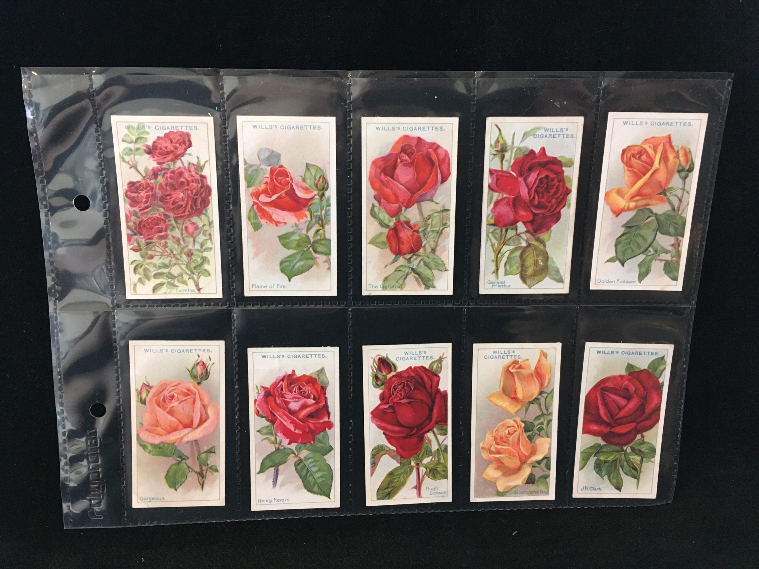 Roses (1926) - Cigarette cards | Trade cards | Coins | Stamps