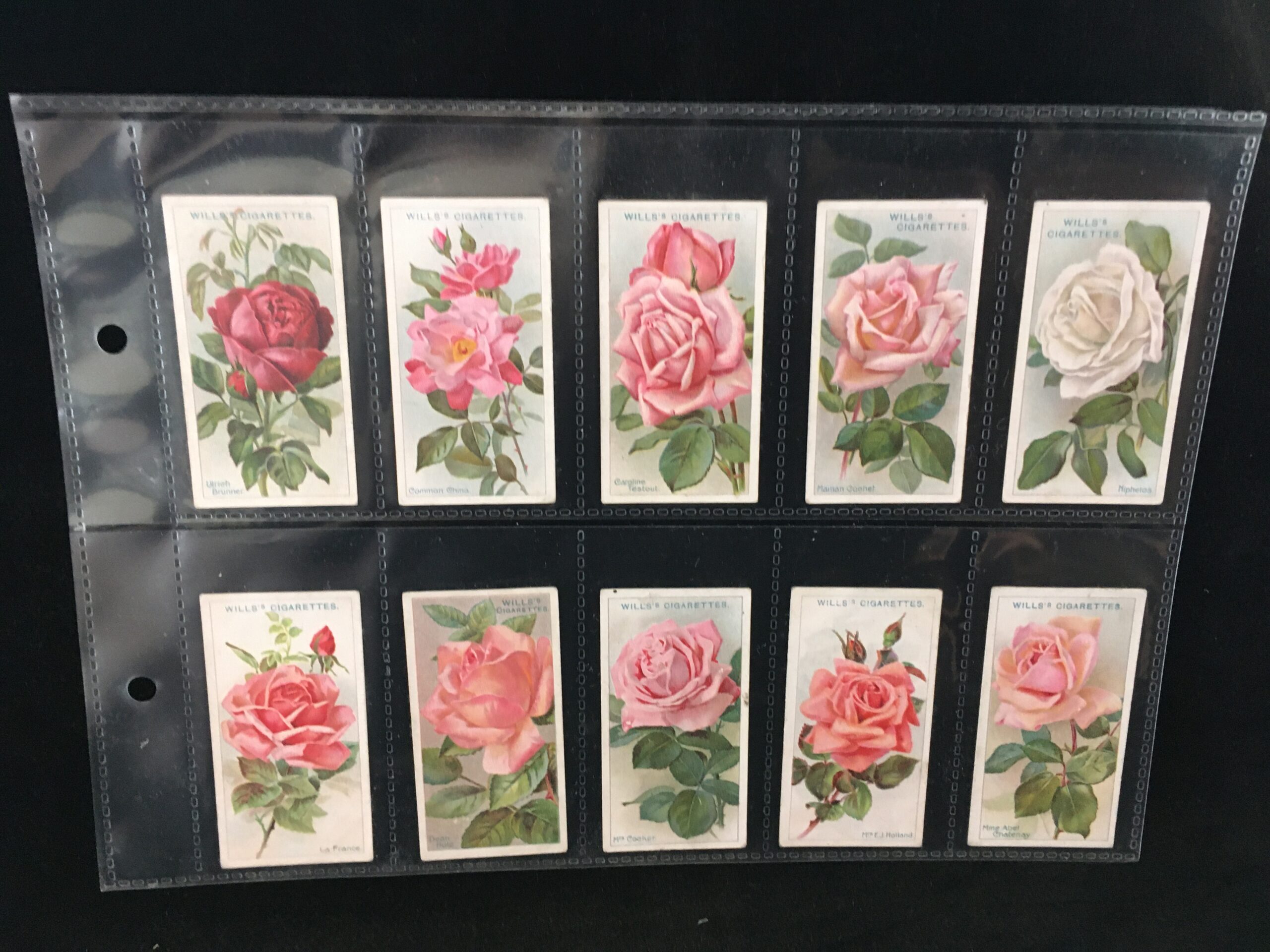 Roses (1912) - Cigarette cards | Trade cards | Coins | Stamps