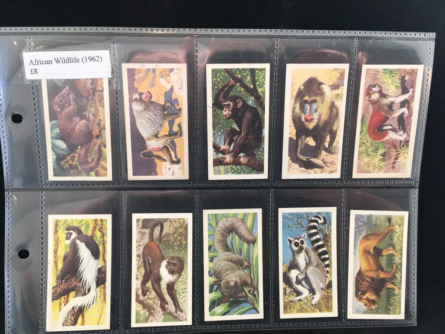 African Wild Life (1962) - Cigarette cards | Trade cards | Coins | Stamps